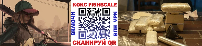 Купить закладки  Камень-на-Оби  COCAIN 98% 