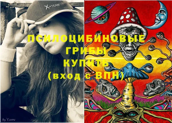 метадон Сатка