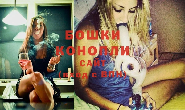 PSILOCYBIN Вуктыл